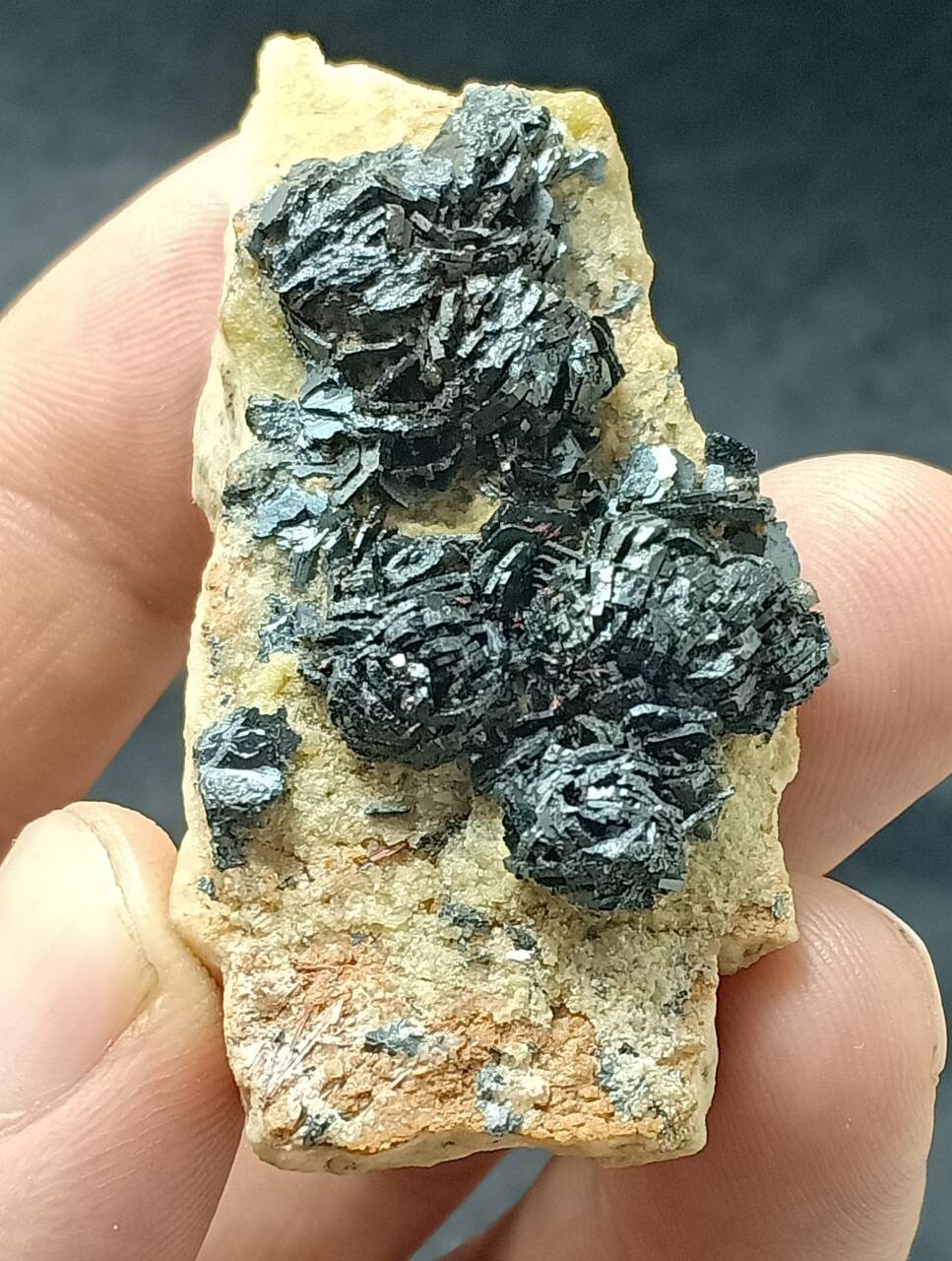 Hematite iron rose cluster 44 grams