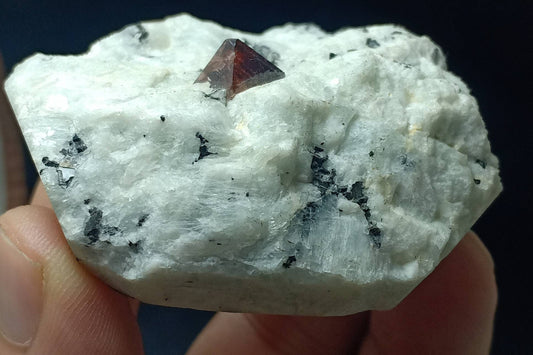 An amazing specimen of terminated zircon on mother rock with associated biotite mica 125 grams