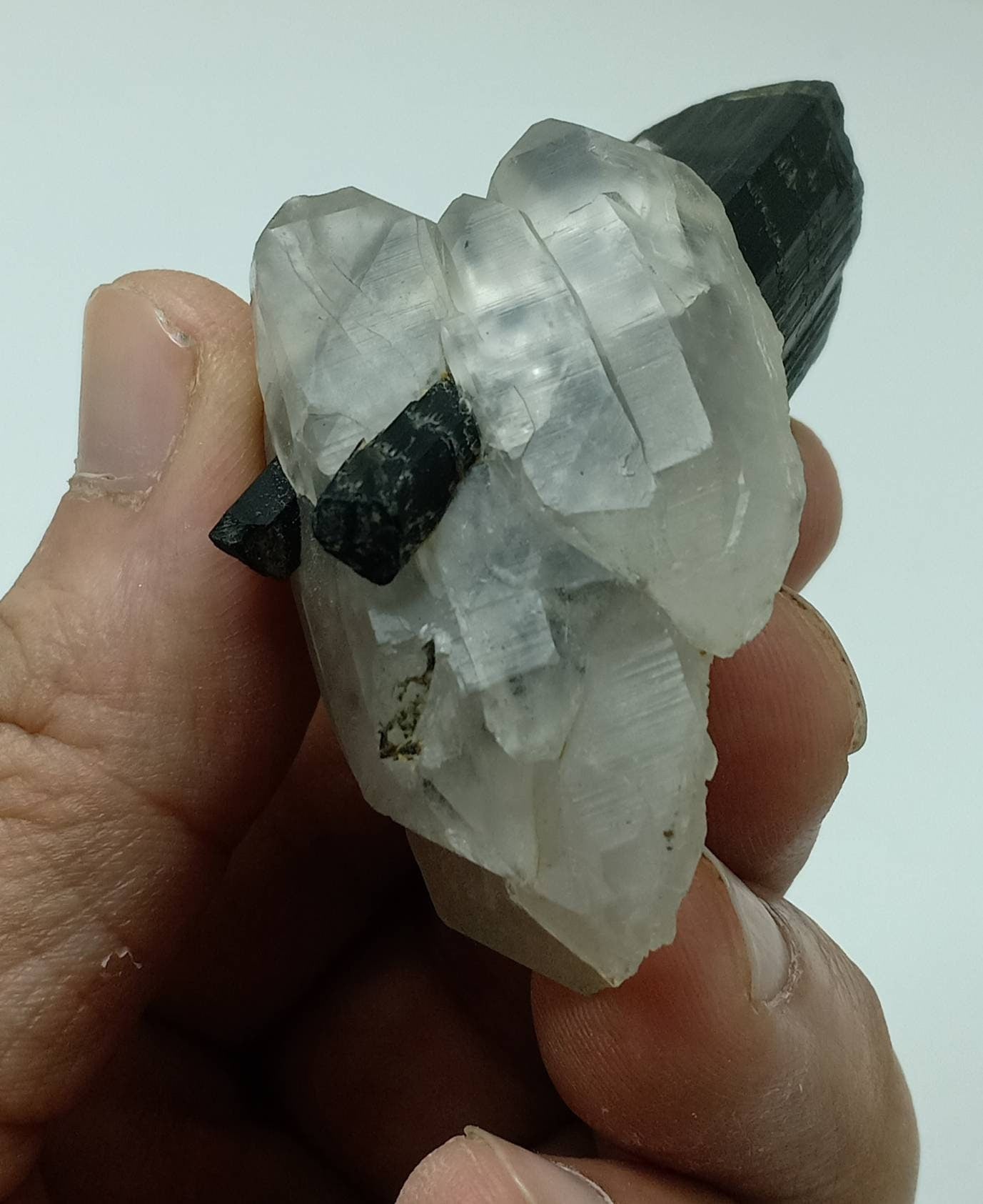 An Aesthetic Natural black Tourmaline crystal nested in terminated quartz crystals 77g