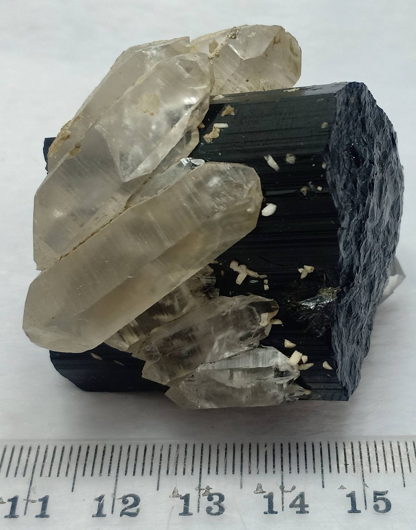 Black Tourmaline crystal nested in terminated quartz crystals 123g