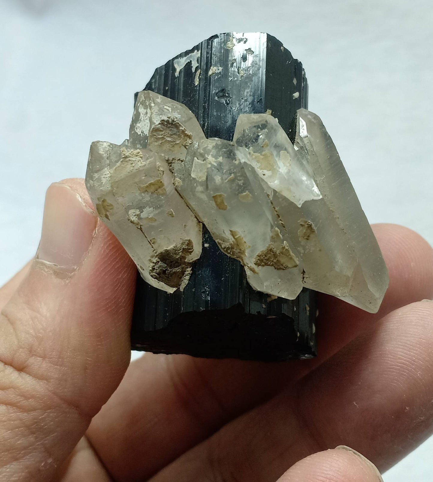Black Tourmaline crystal nested in terminated quartz crystals 123g