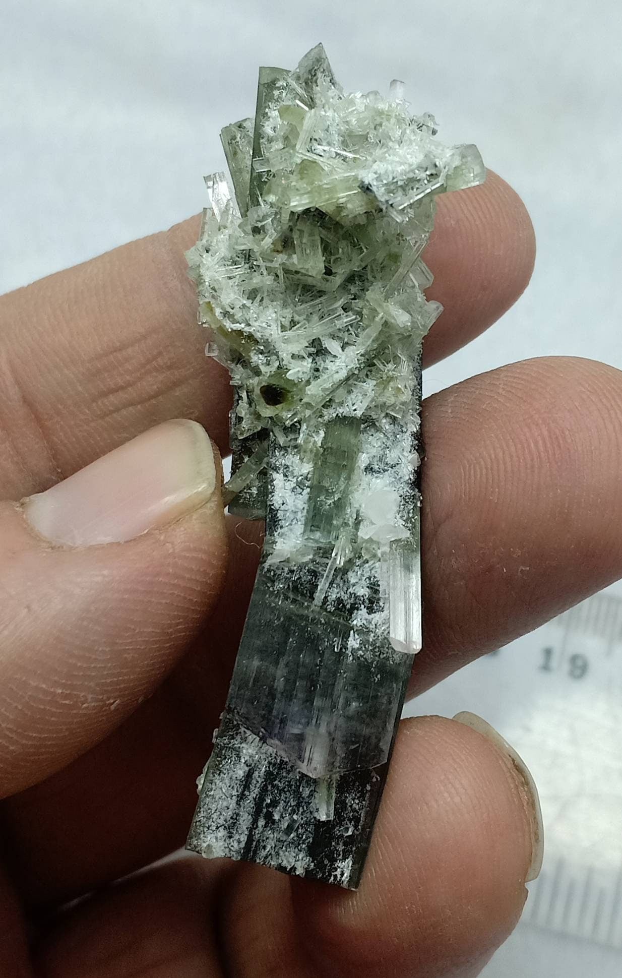 Multicolor Tourmaline crystals cluster from stak Nala Gilgit 17 grams