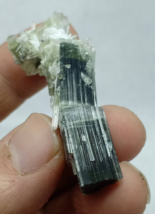Multicolor Tourmaline crystals cluster from stak Nala Gilgit 17 grams