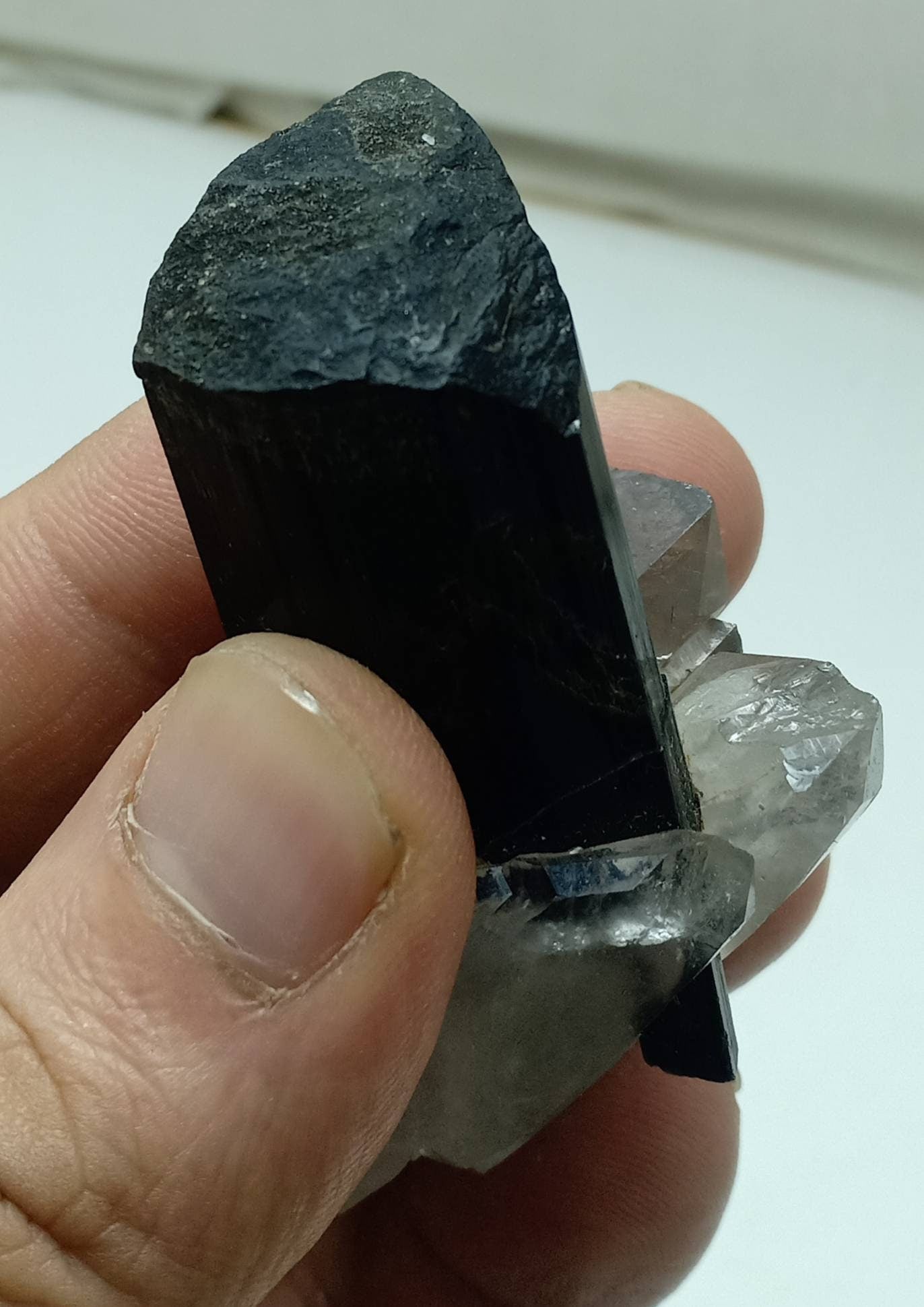 An Aesthetic Natural black Tourmaline crystal nested in terminated quartz crystals 77g