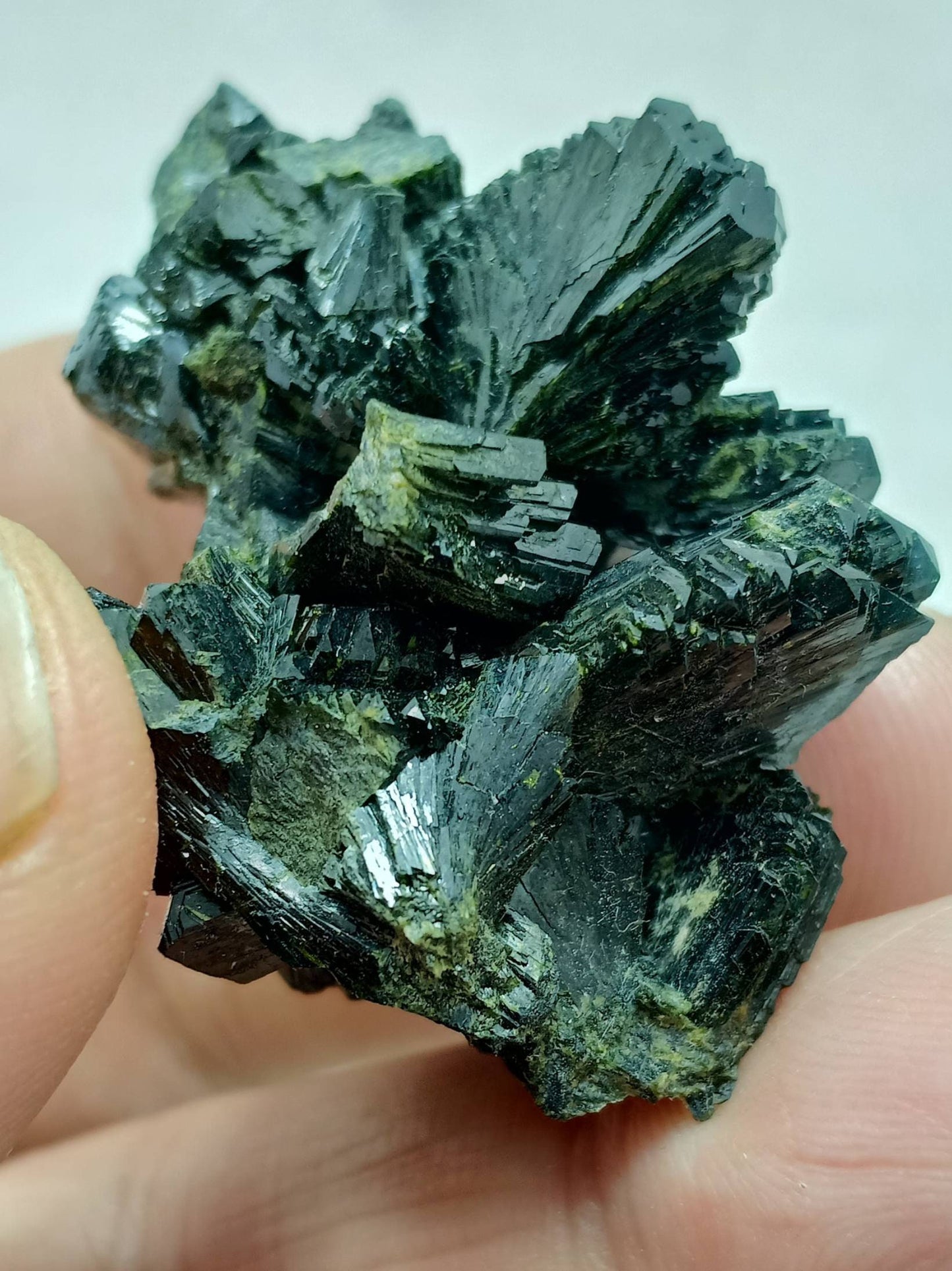 Bow tie Epidote cluster with beautiful terminations 42 grams