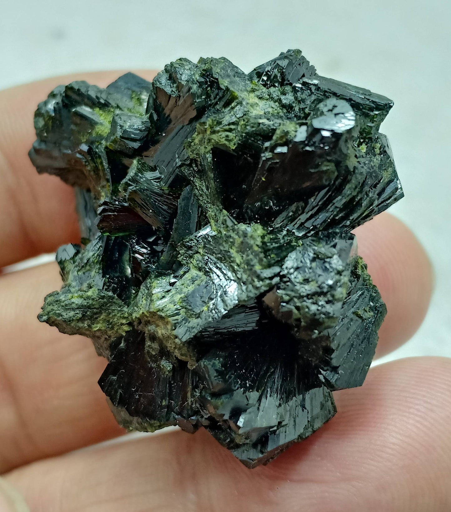 Bow tie Epidote spray cluster with beautiful terminations 28 grams