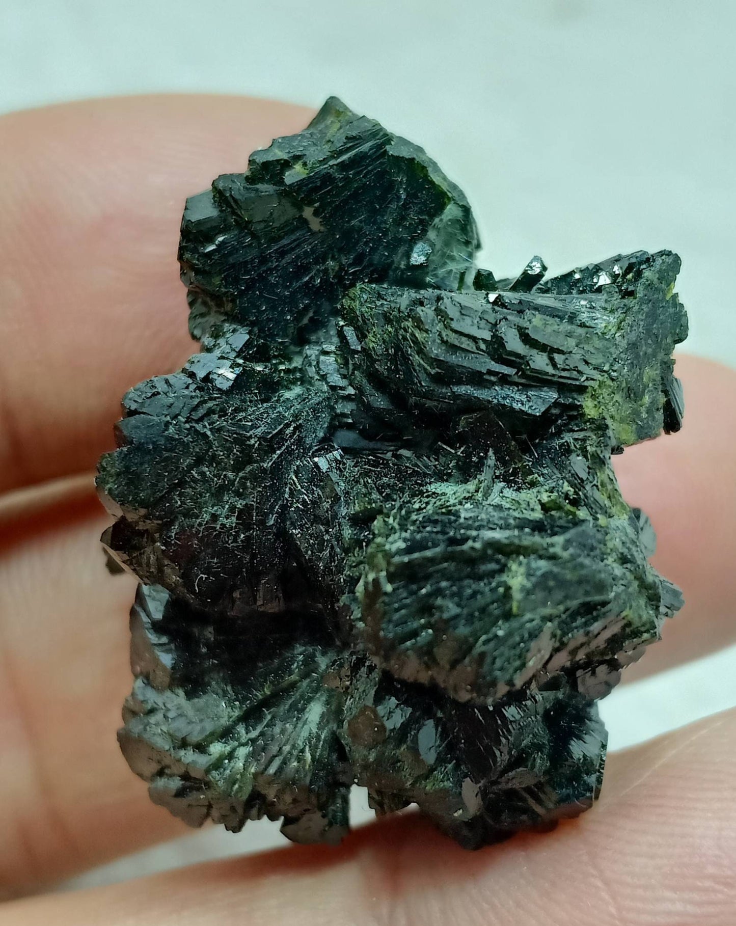 Bow tie Epidote spray cluster with beautiful terminations 23 grams