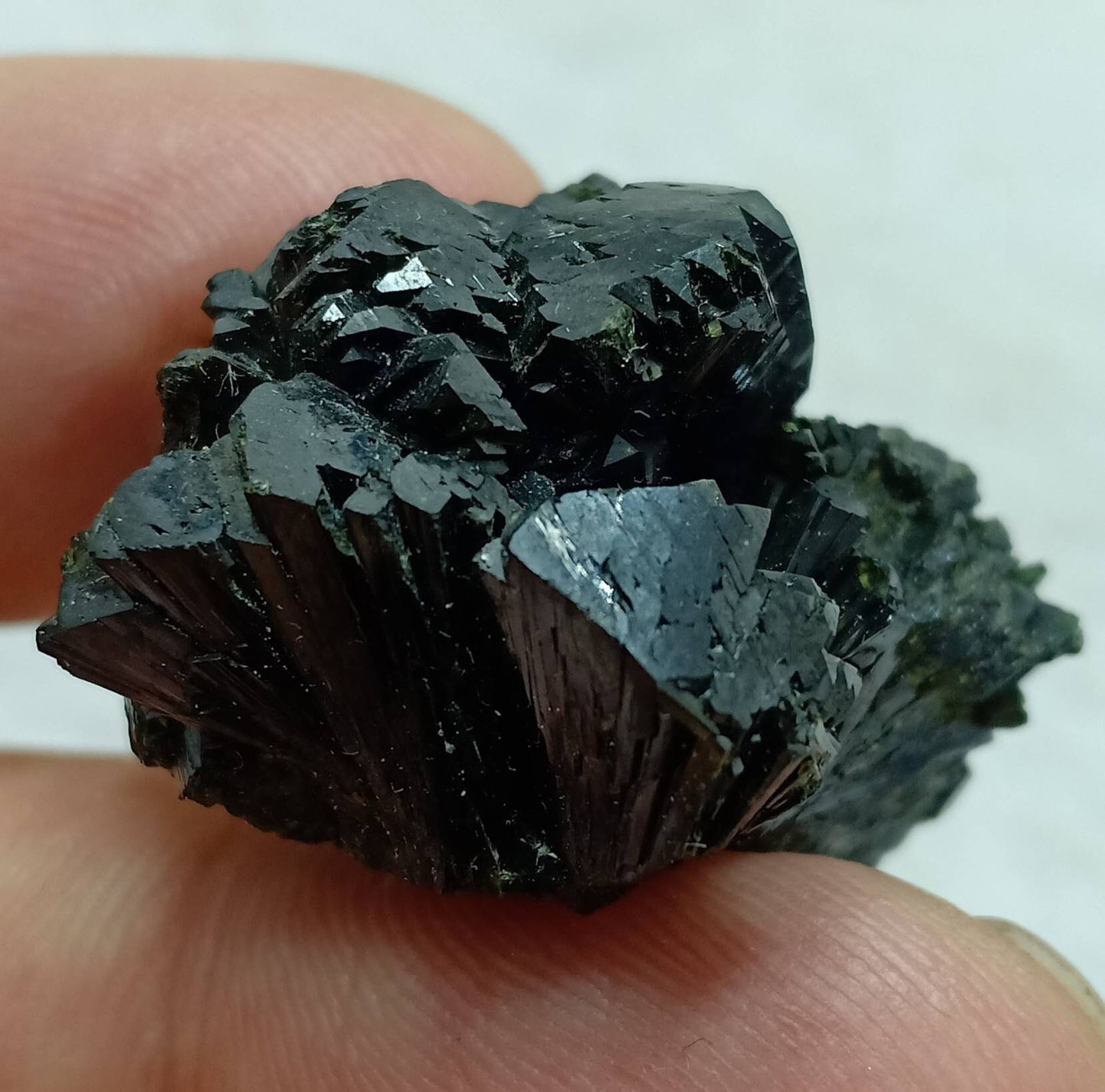 An Amazing bow tie Epidote spray cluster with beautiful terminations 20 grams