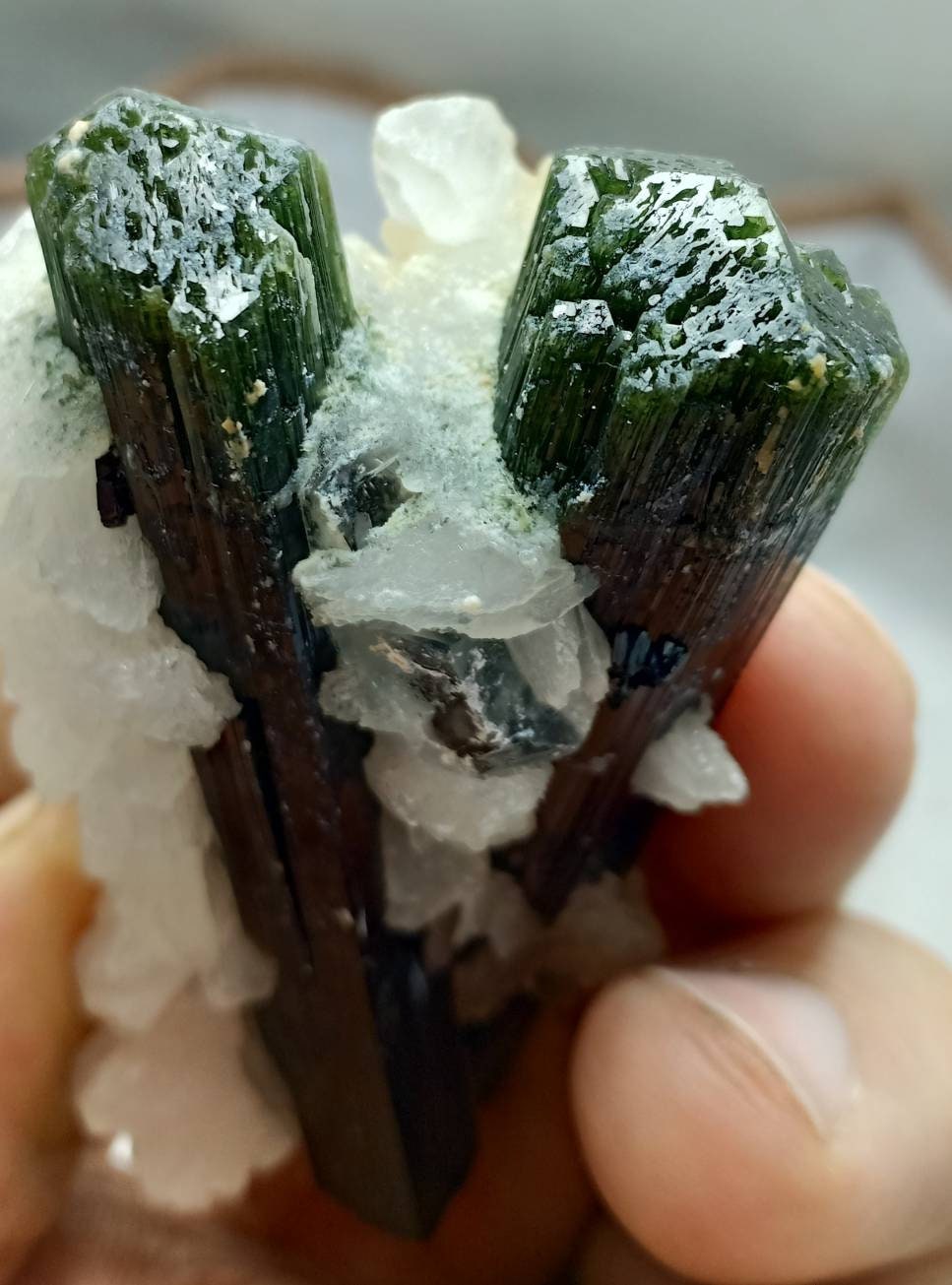 Perfectly terminated specimen of green cap Tourmalines crystals with associated albite 94 grams
