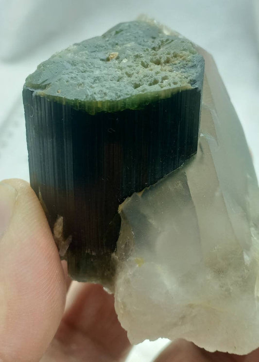 green cap and bottom Tourmaline crystal with smoky quartz 212 grams