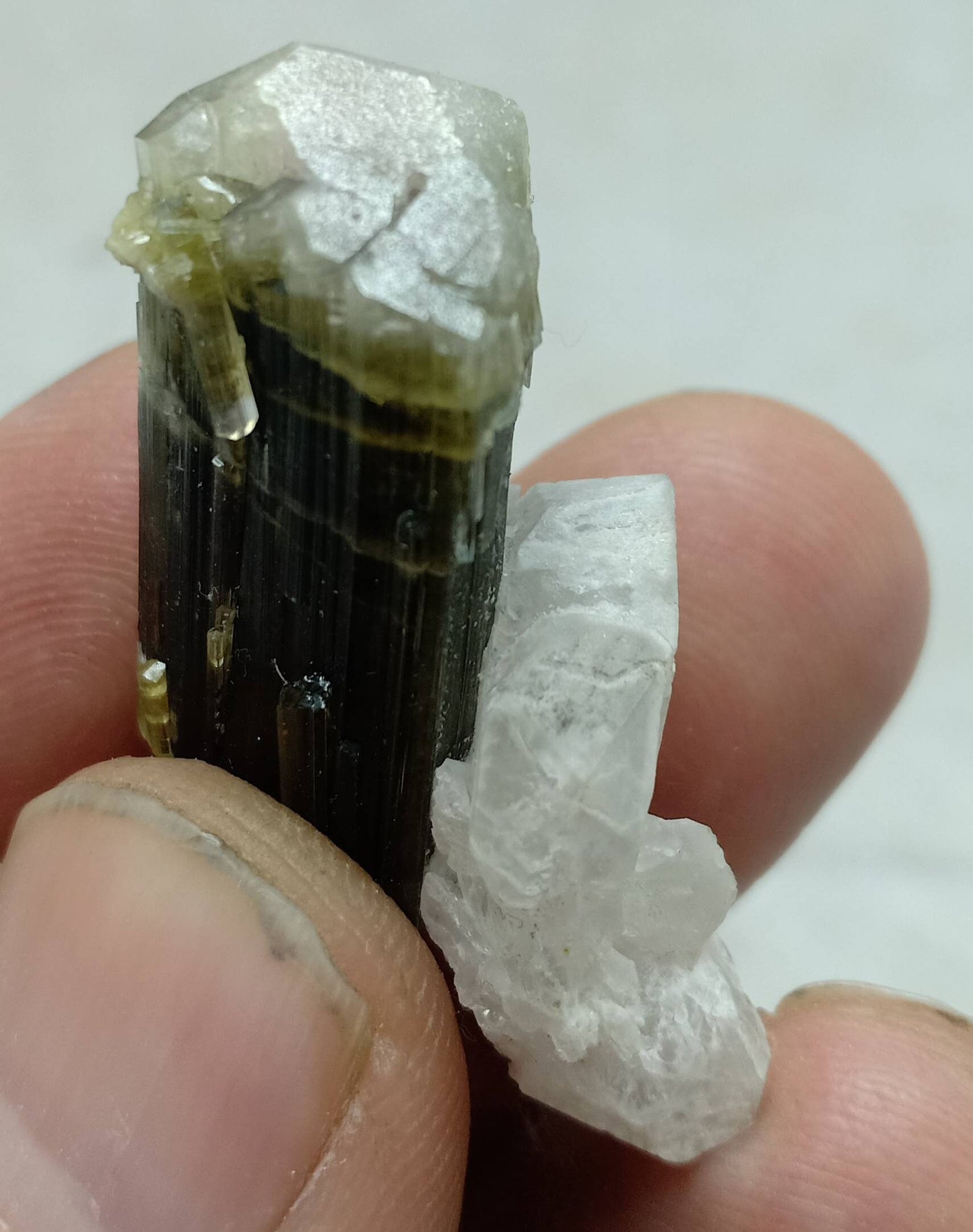 An dark green Tourmaline crystal with white head and associated quartz 14 grams