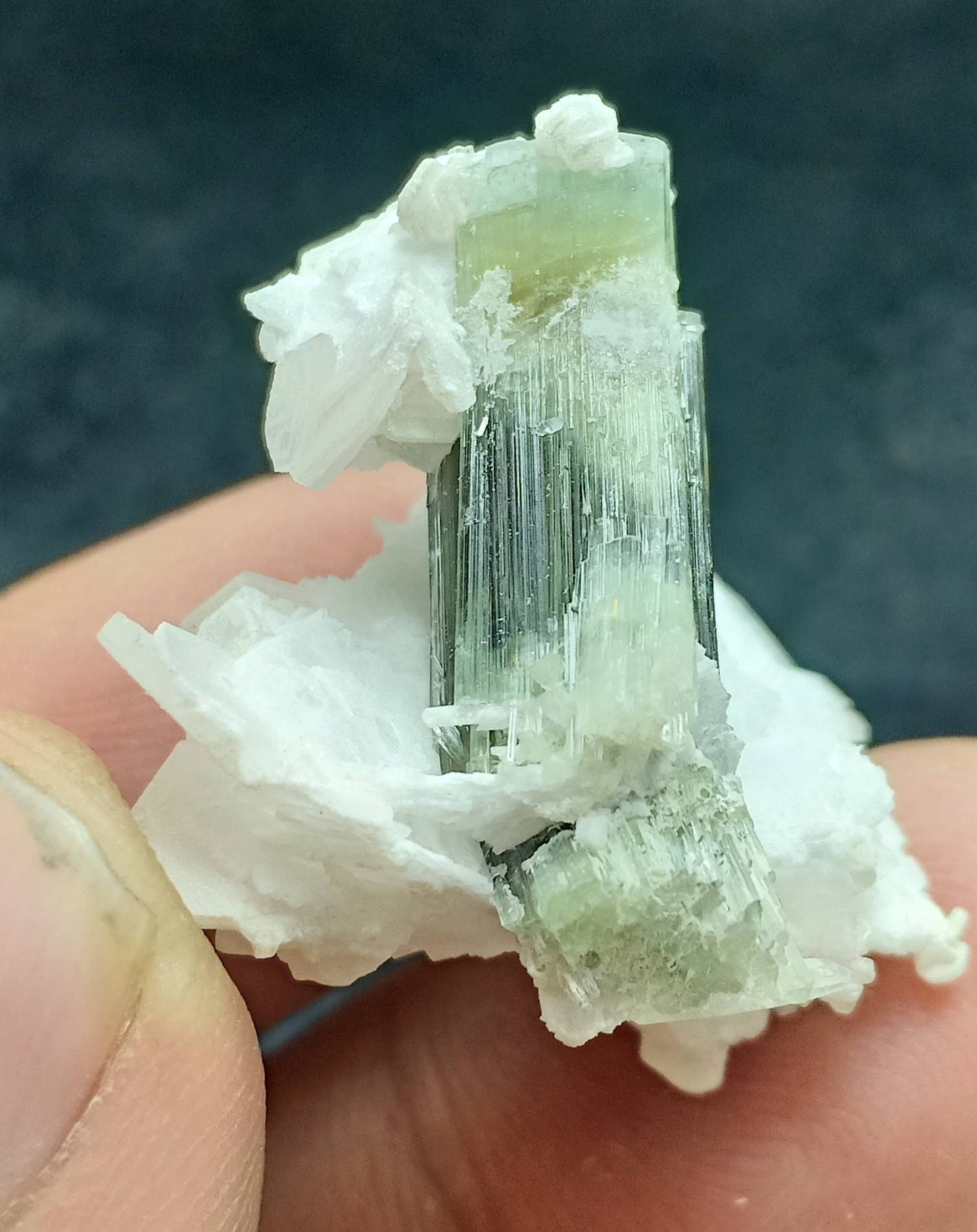 An dark green Tourmaline crystal and associated cleavlandite 10 grams