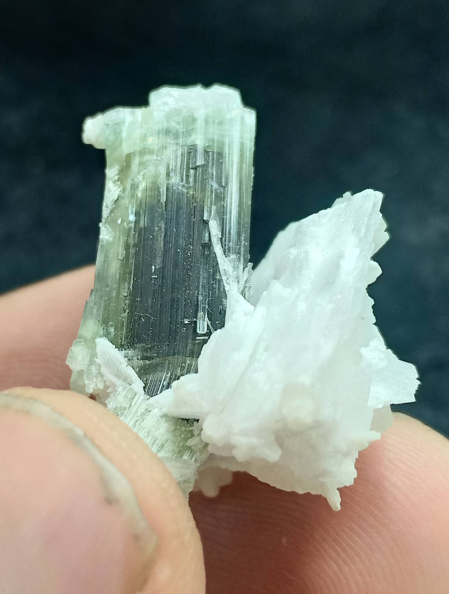 An dark green Tourmaline crystal and associated cleavlandite 10 grams