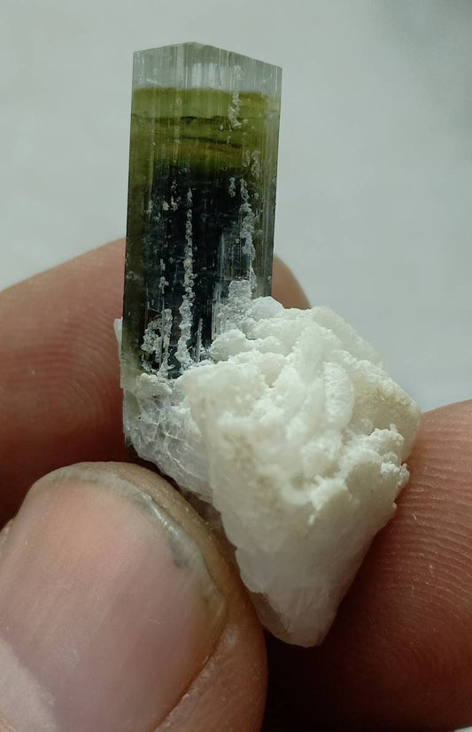 An amazing multicolor Tourmaline crystal and associated cleavlandite and a bit of quartz 8 grams