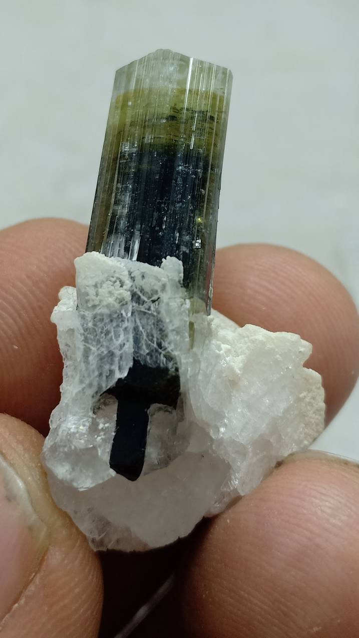 An amazing multicolor Tourmaline crystal and associated cleavlandite and a bit of quartz 8 grams