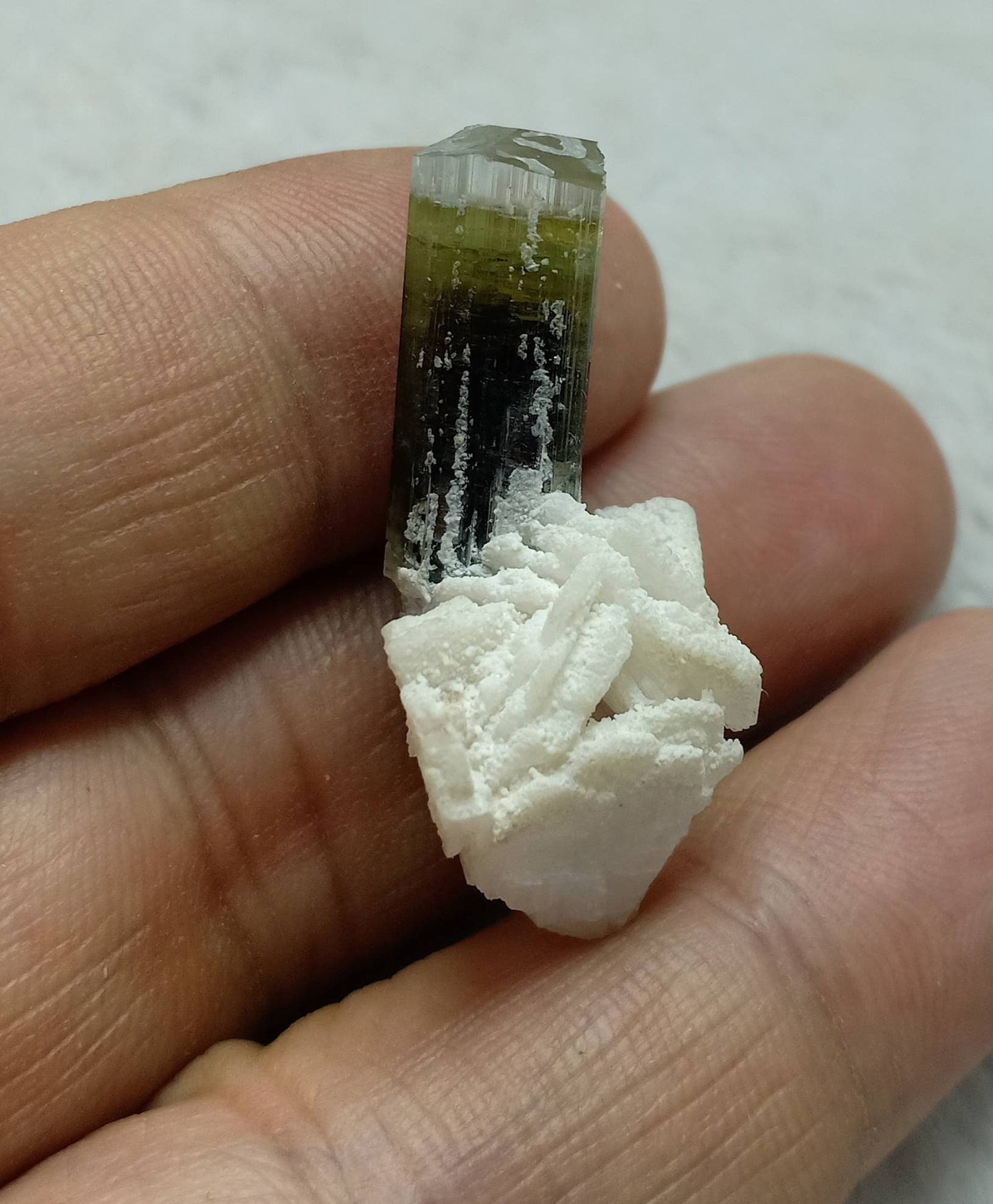 An amazing multicolor Tourmaline crystal and associated cleavlandite and a bit of quartz 8 grams