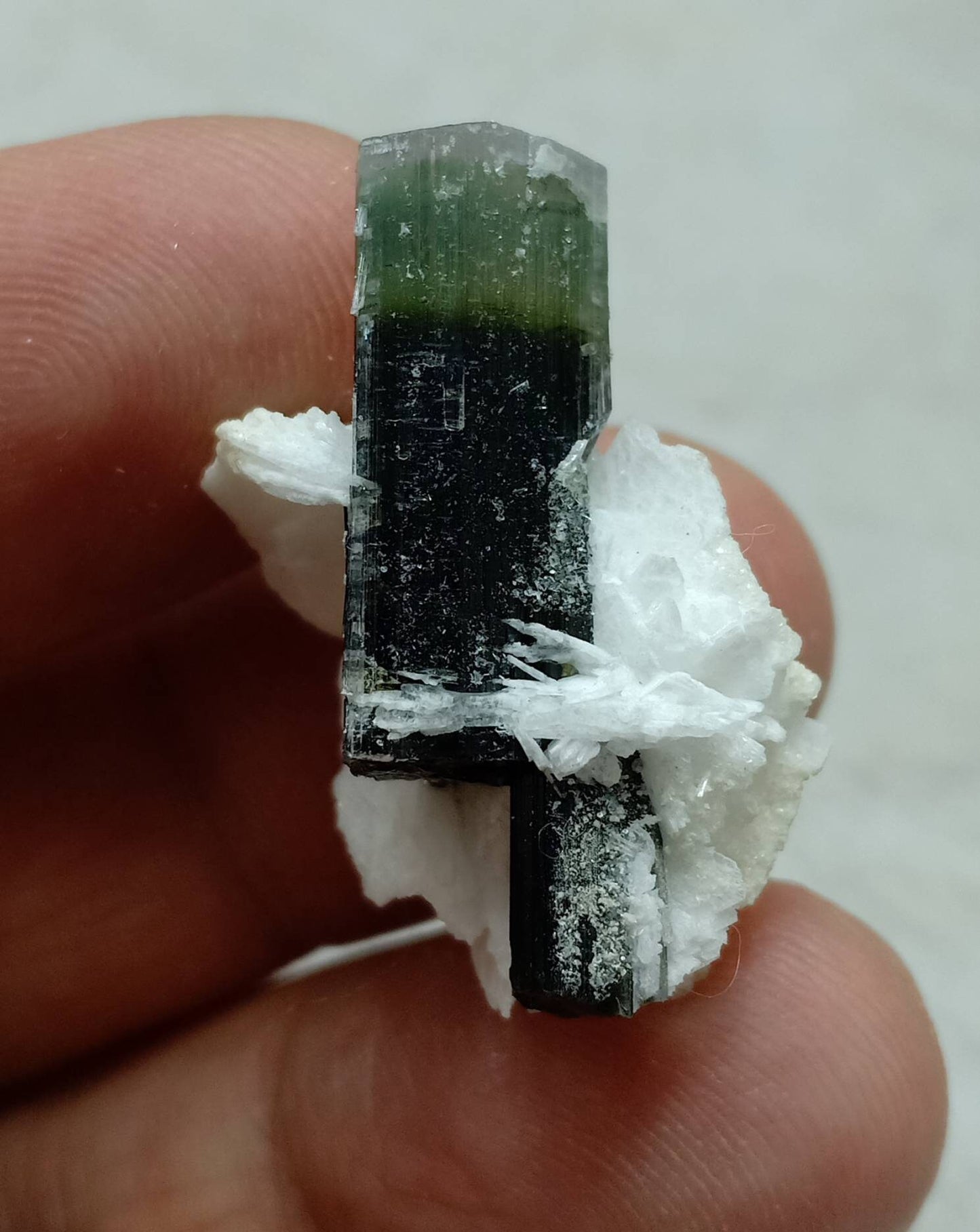 An amazing multicolor Tourmaline crystal and associated cleavlandite and a bit of quartz 7 grams