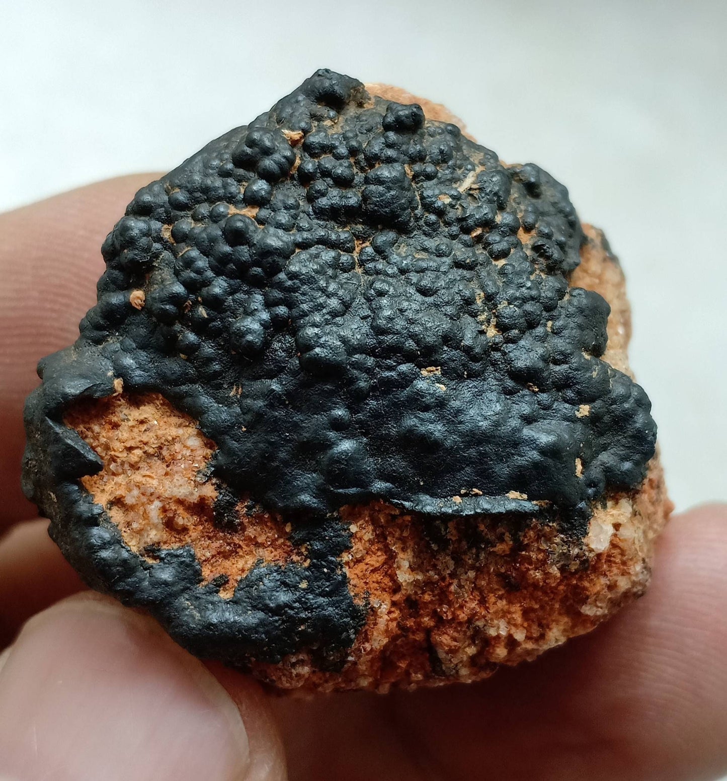 Hollandite on matrix 38g