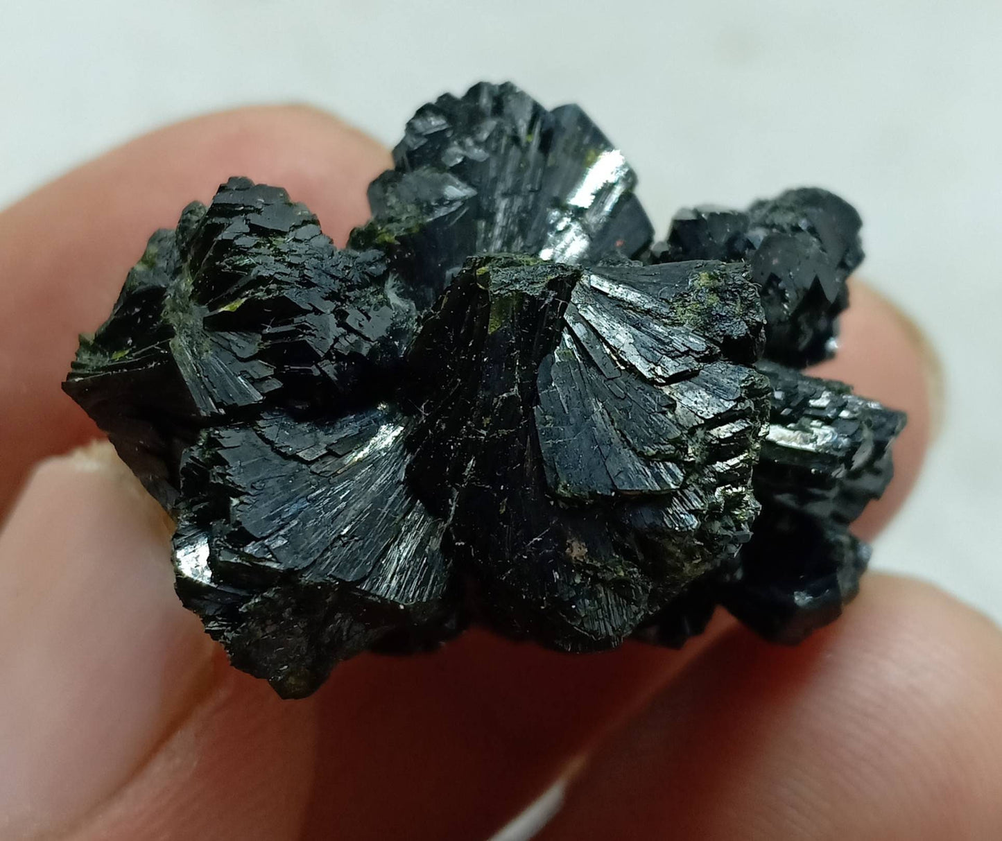 Bow tie Epidote spray cluster with beautiful terminations 23 grams