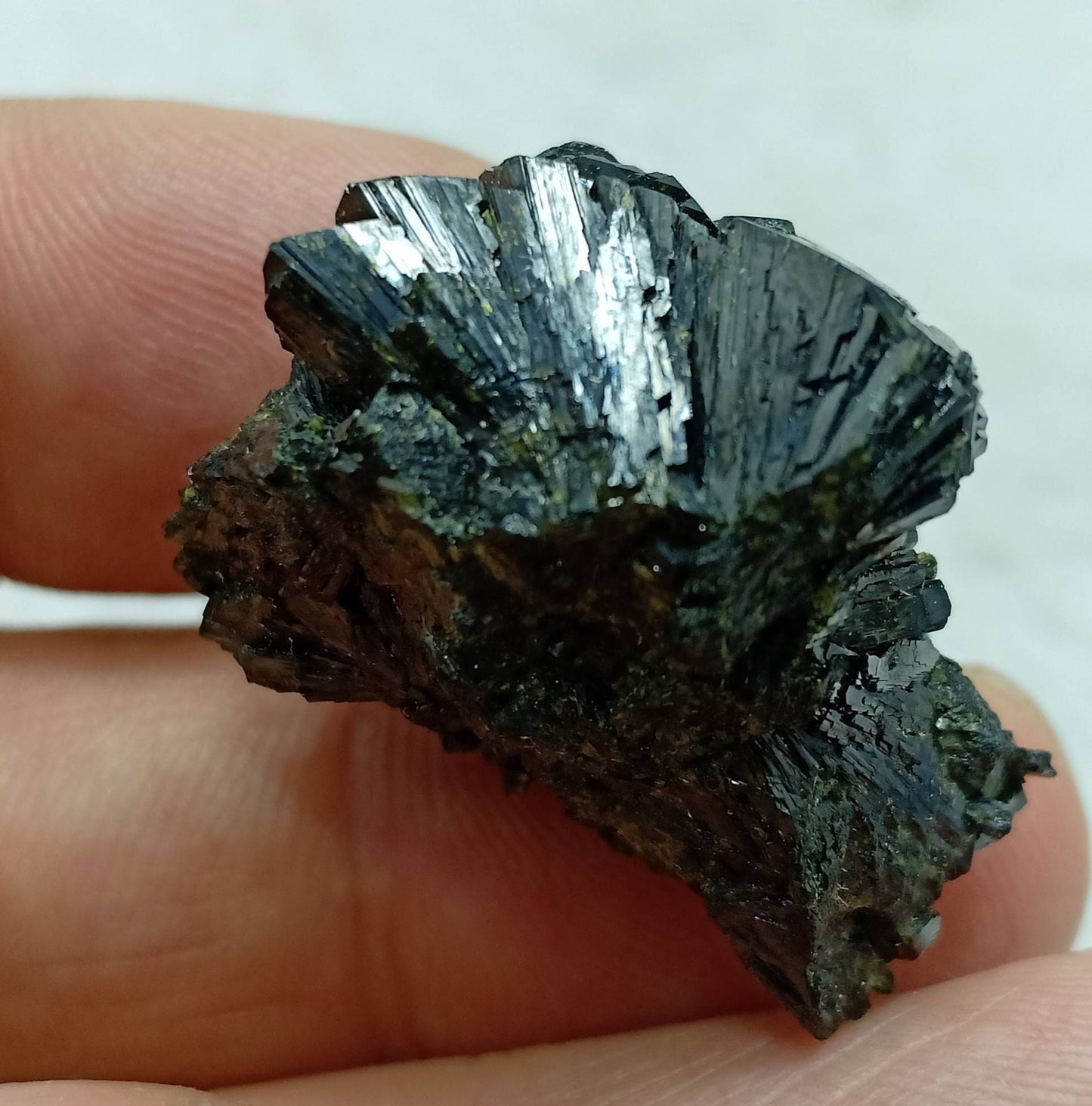 An Amazing bow tie Epidote spray cluster with beautiful terminations 20 grams