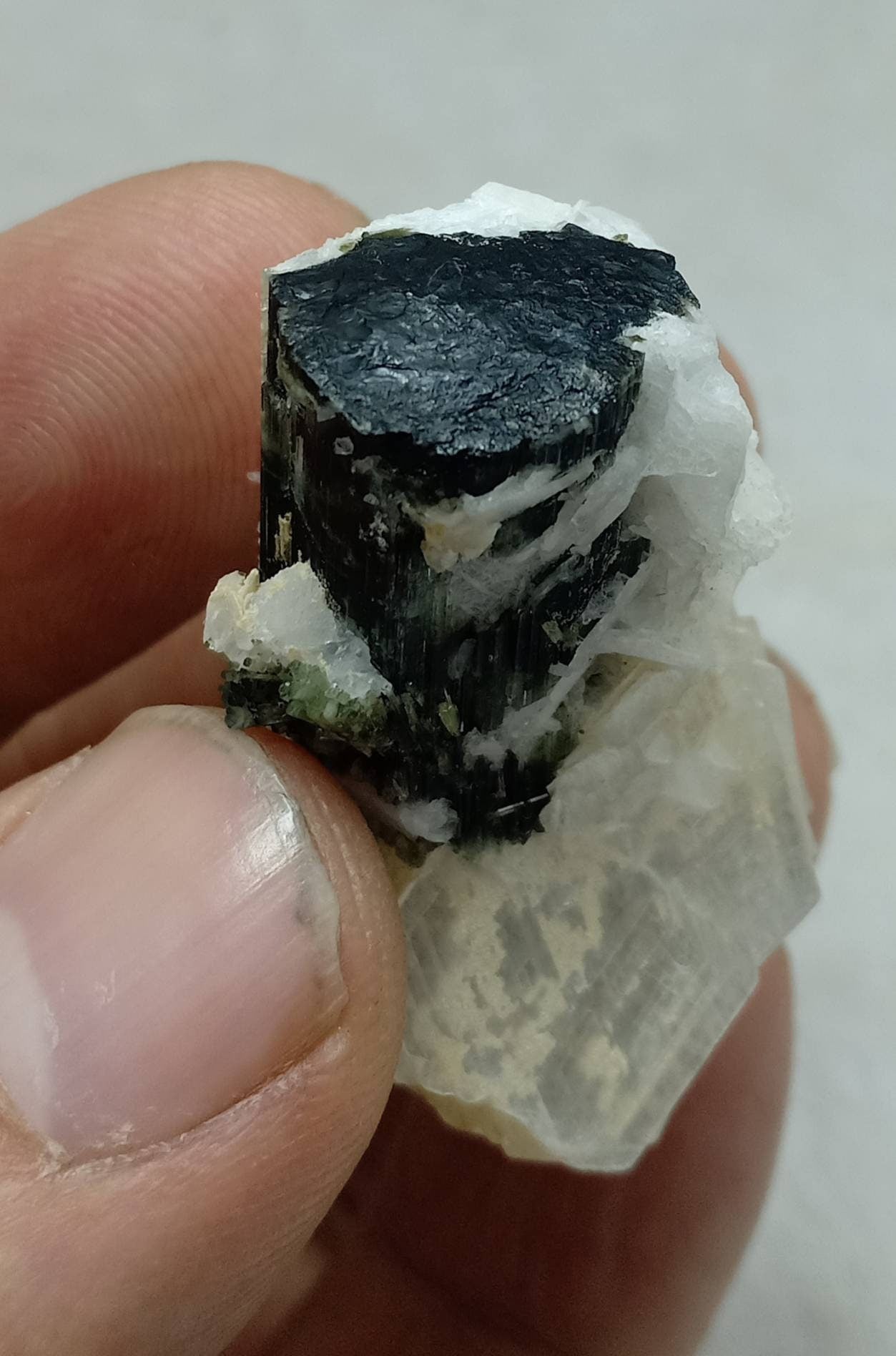 An amazing dark green color Tourmaline crystal with associated cleavelandite, muscovite and a small quartz 24grams
