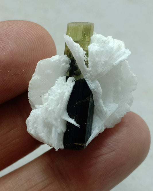Green cap Tourmaline crystal with associated cleavelandite 10 grams