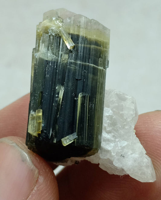 An dark green Tourmaline crystal with white head and associated quartz 14 grams