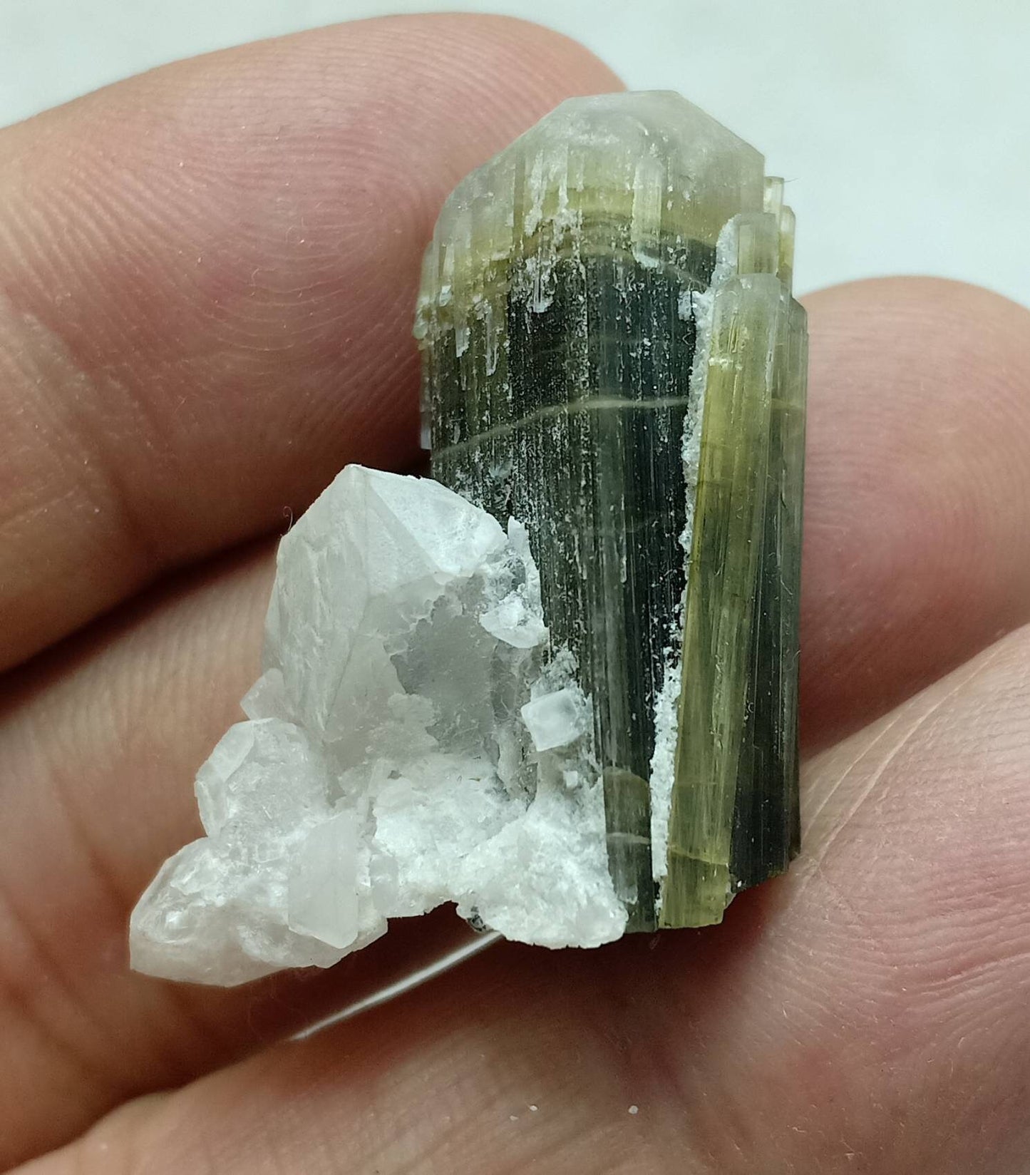 An dark green Tourmaline crystal with white head and associated quartz 14 grams