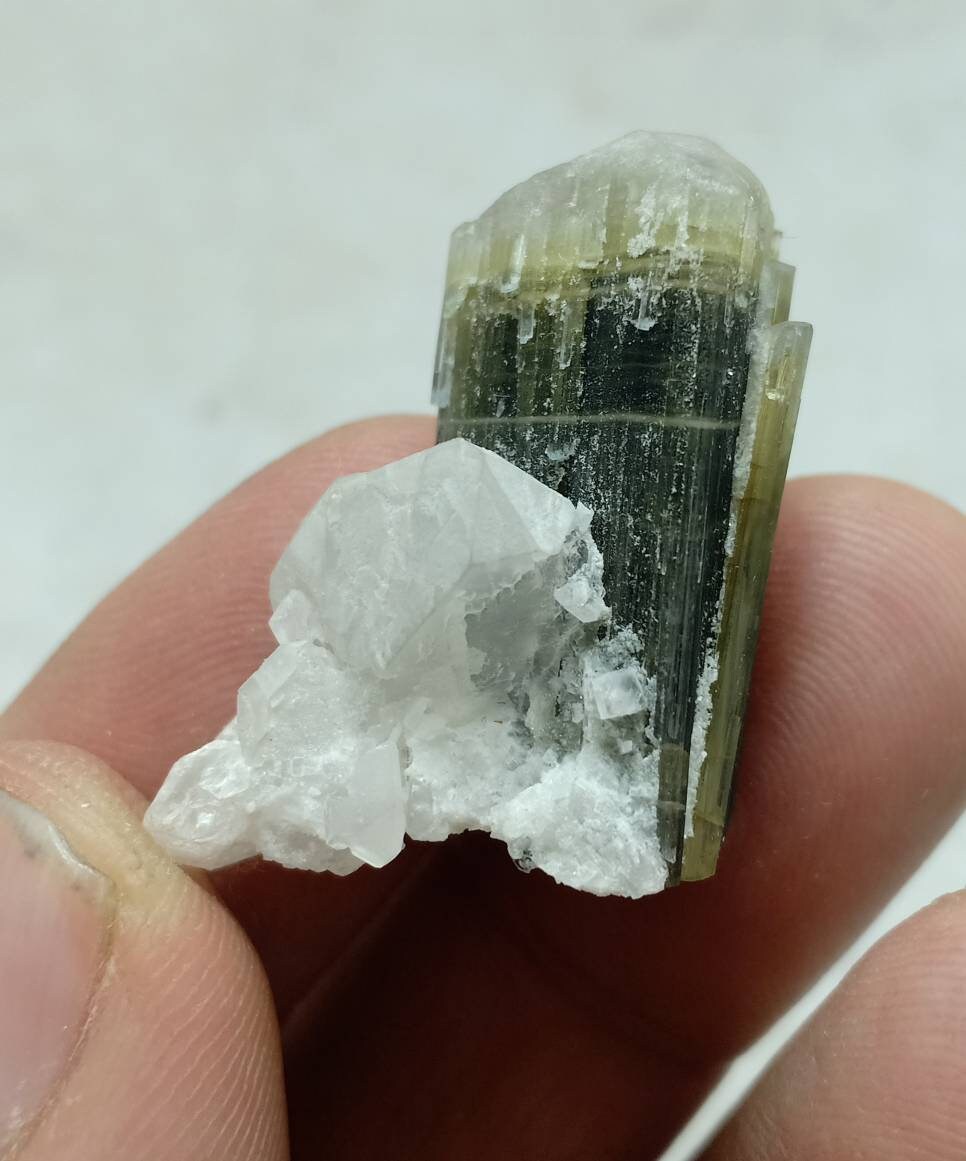 An dark green Tourmaline crystal with white head and associated quartz 14 grams