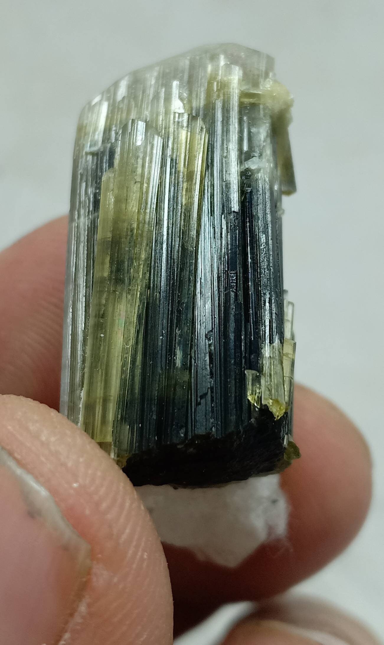 An dark green Tourmaline crystal with white head and associated quartz 14 grams