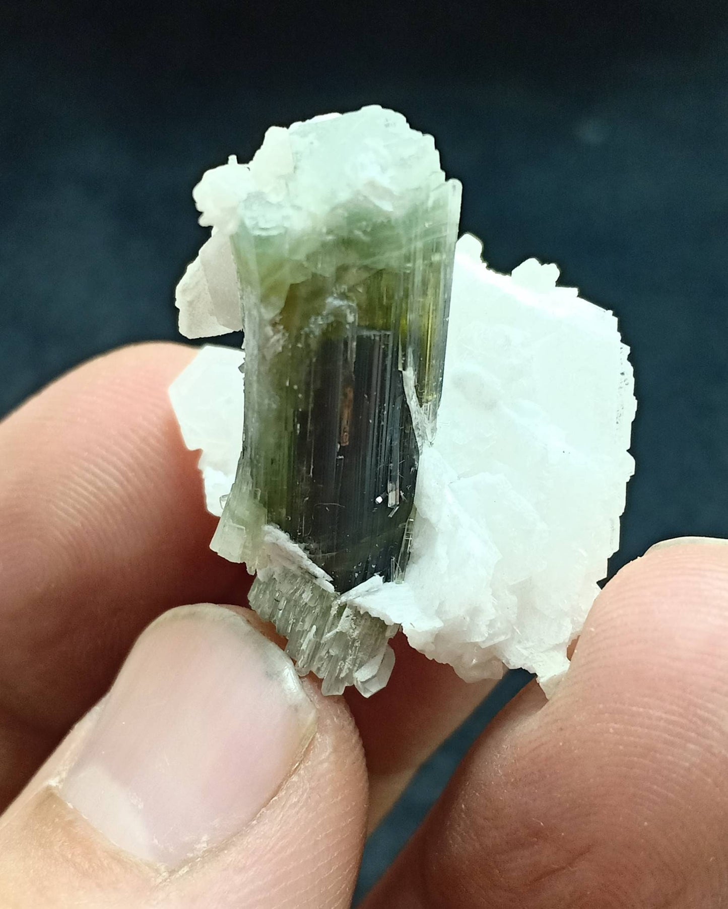 An dark green Tourmaline crystal and associated cleavlandite 10 grams