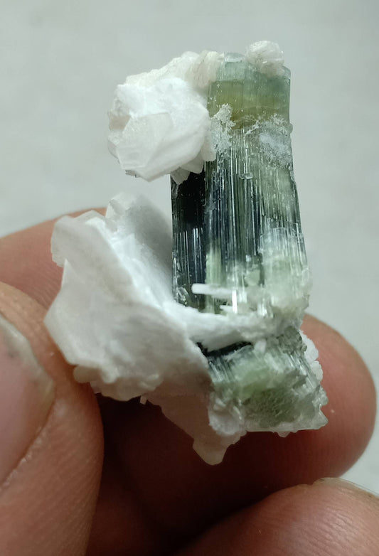 An dark green Tourmaline crystal and associated cleavlandite 10 grams