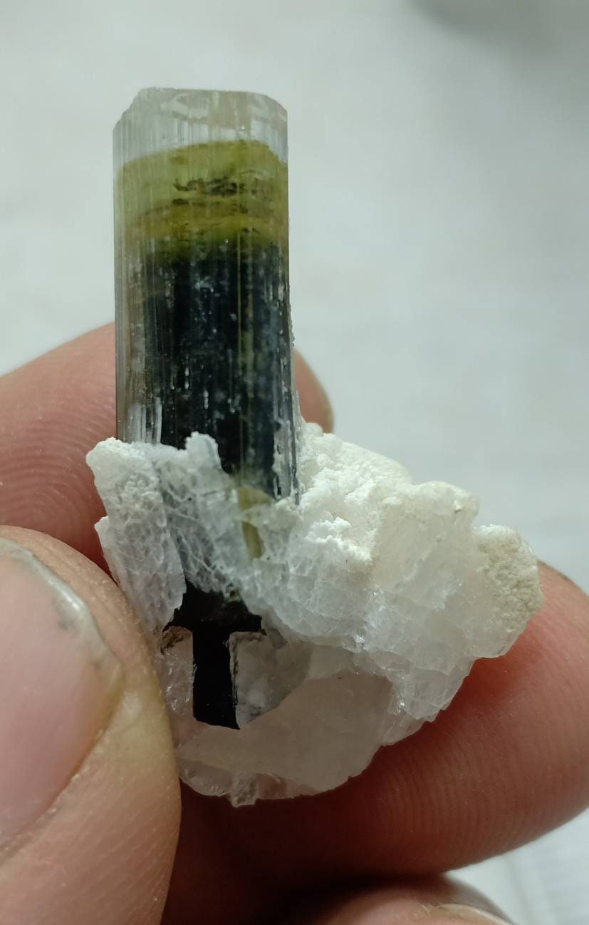 An amazing multicolor Tourmaline crystal and associated cleavlandite and a bit of quartz 8 grams