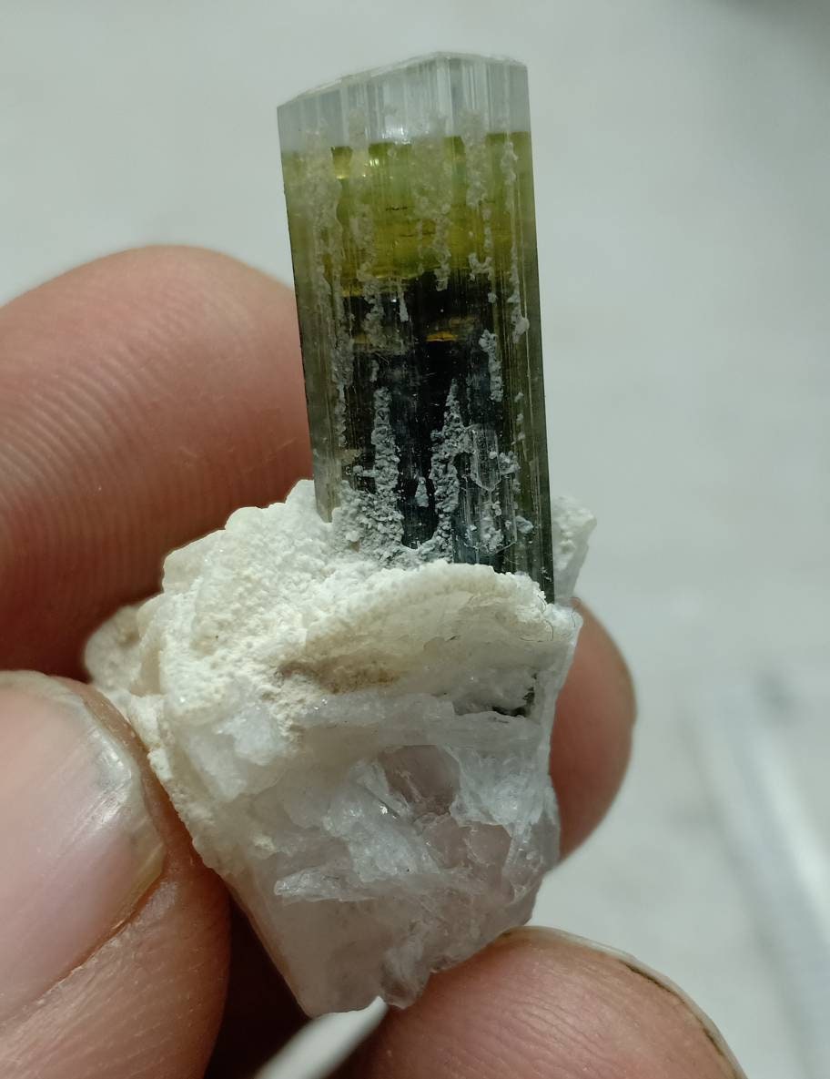 An amazing multicolor Tourmaline crystal and associated cleavlandite and a bit of quartz 8 grams