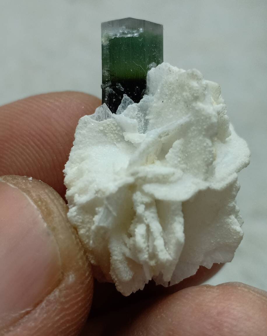 An amazing multicolor Tourmaline crystal and associated cleavlandite and a bit of quartz 7 grams