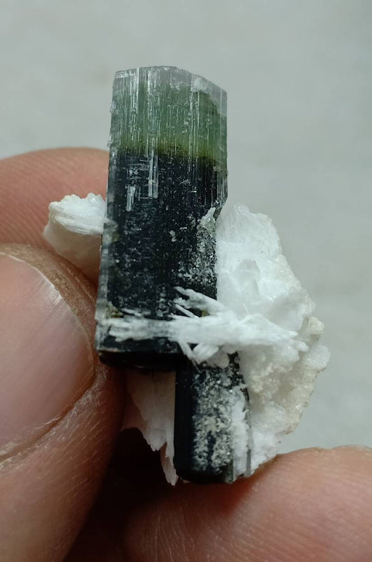 An amazing multicolor Tourmaline crystal and associated cleavlandite and a bit of quartz 7 grams