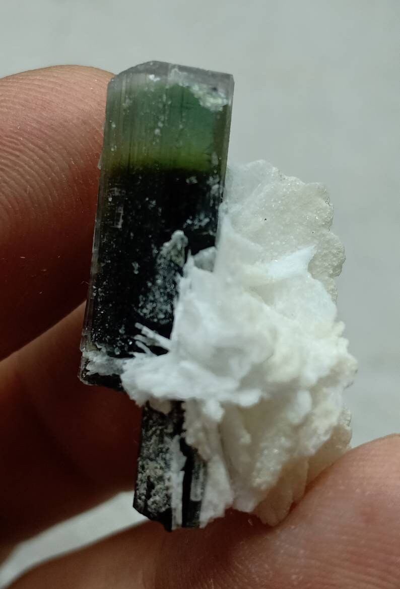 An amazing multicolor Tourmaline crystal and associated cleavlandite and a bit of quartz 7 grams