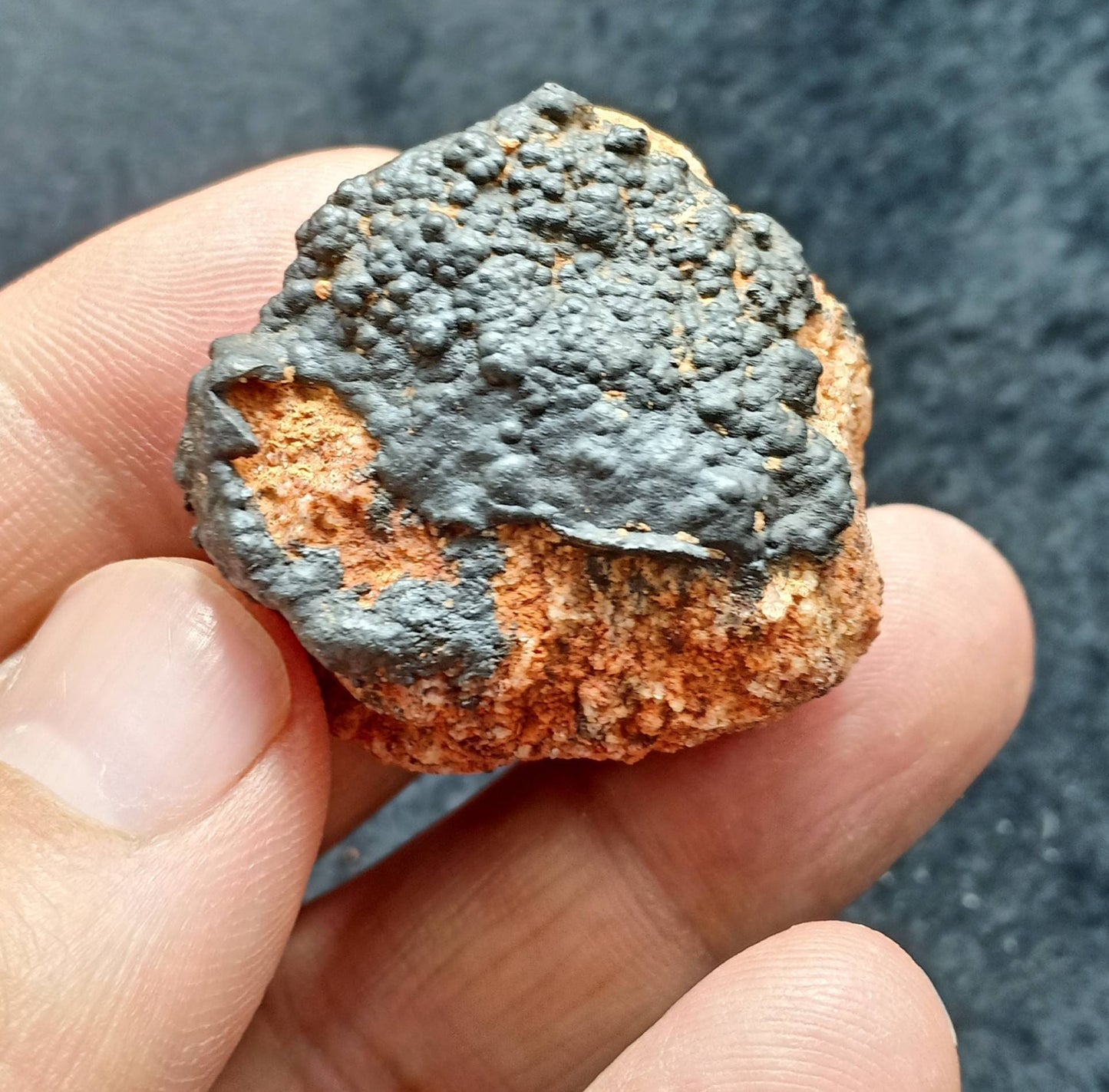 Hollandite on matrix 38g