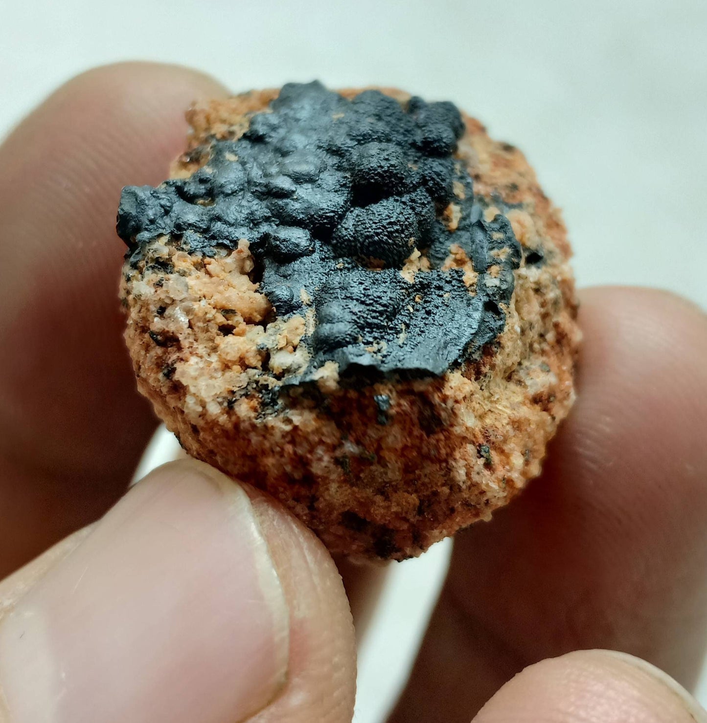 Hollandite on matrix 15.5 g