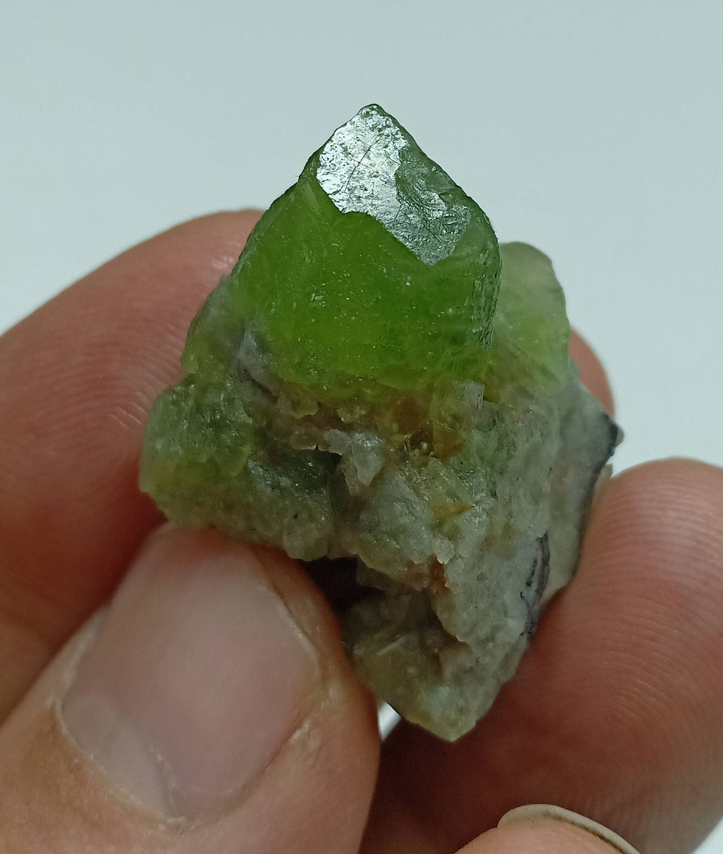 Peridot crystals specimen with magnetite 18.5g