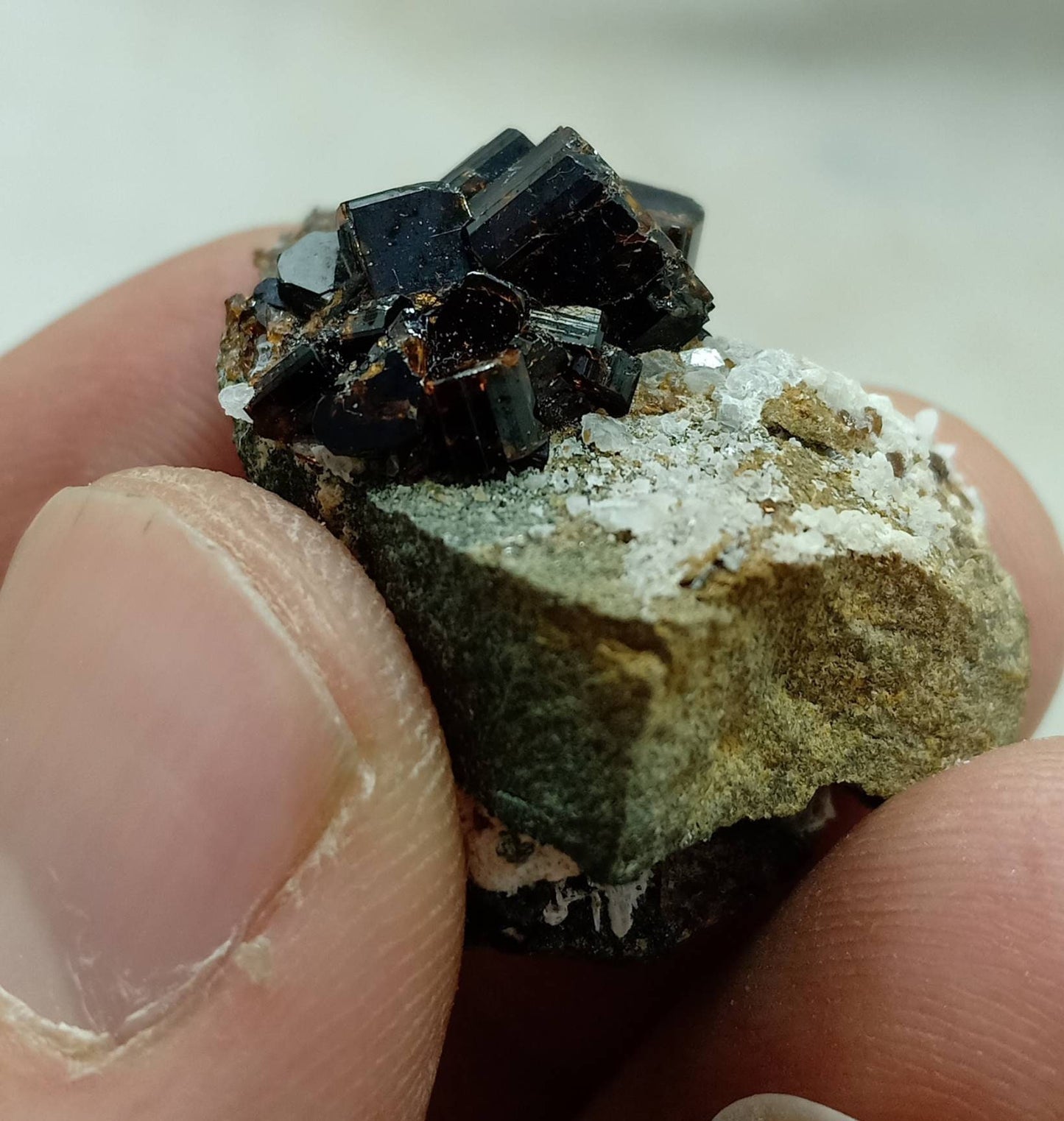 An amazing highly lusterous crystal specimen of dark brown Vesuvianite 16.5 grams