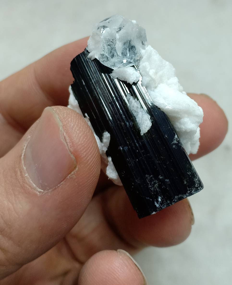 Black Tourmaline crystal with embedded Aquamarine and associated albite 35g