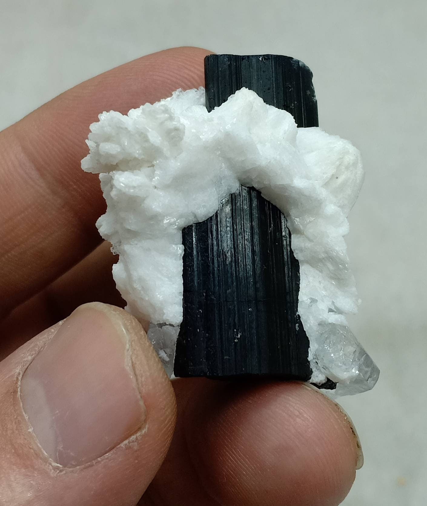 Black Tourmaline crystal with embedded Aquamarine and associated albite 35g