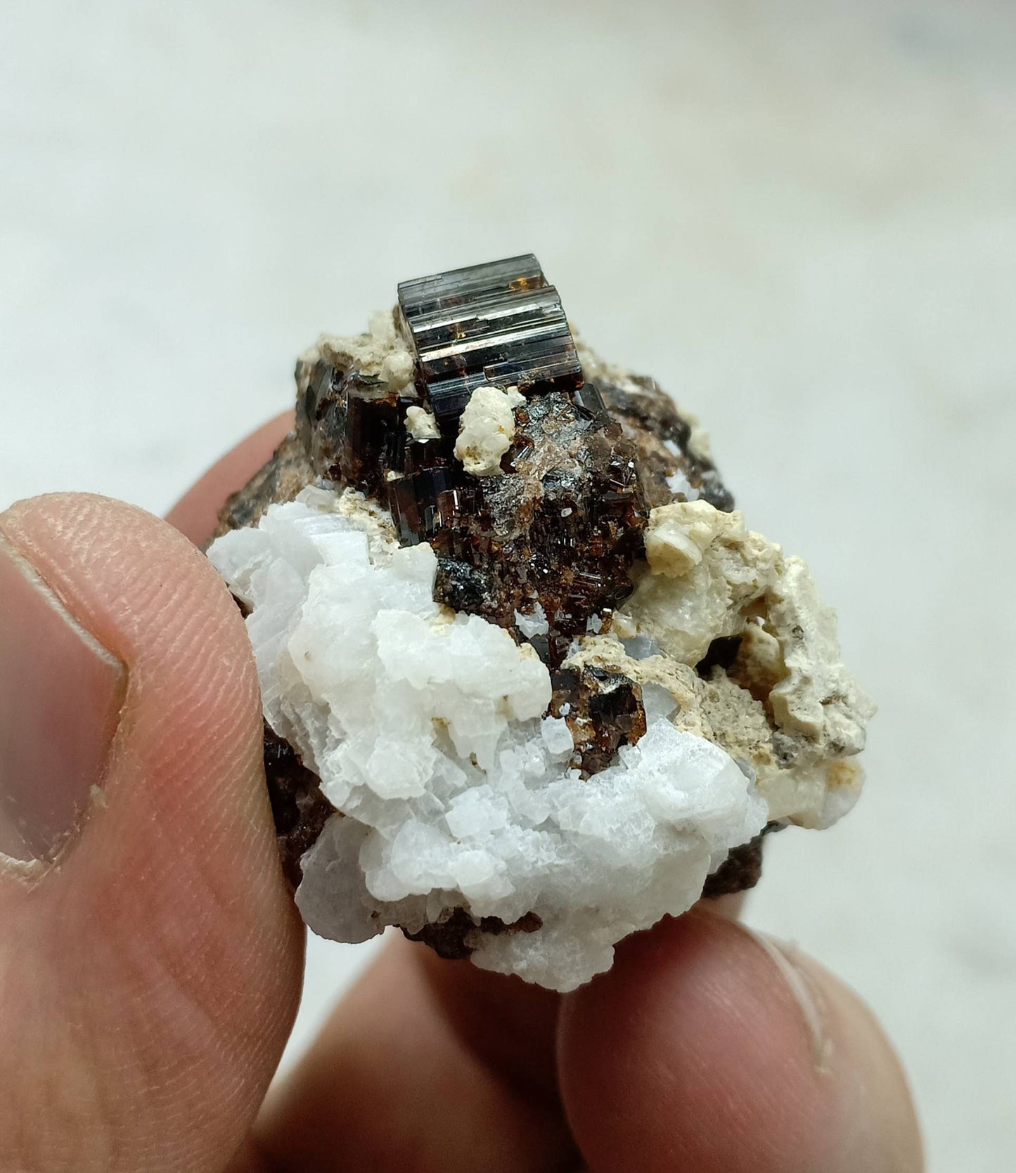 Vesuvianite crystal dark brown color with Albite 38 grams