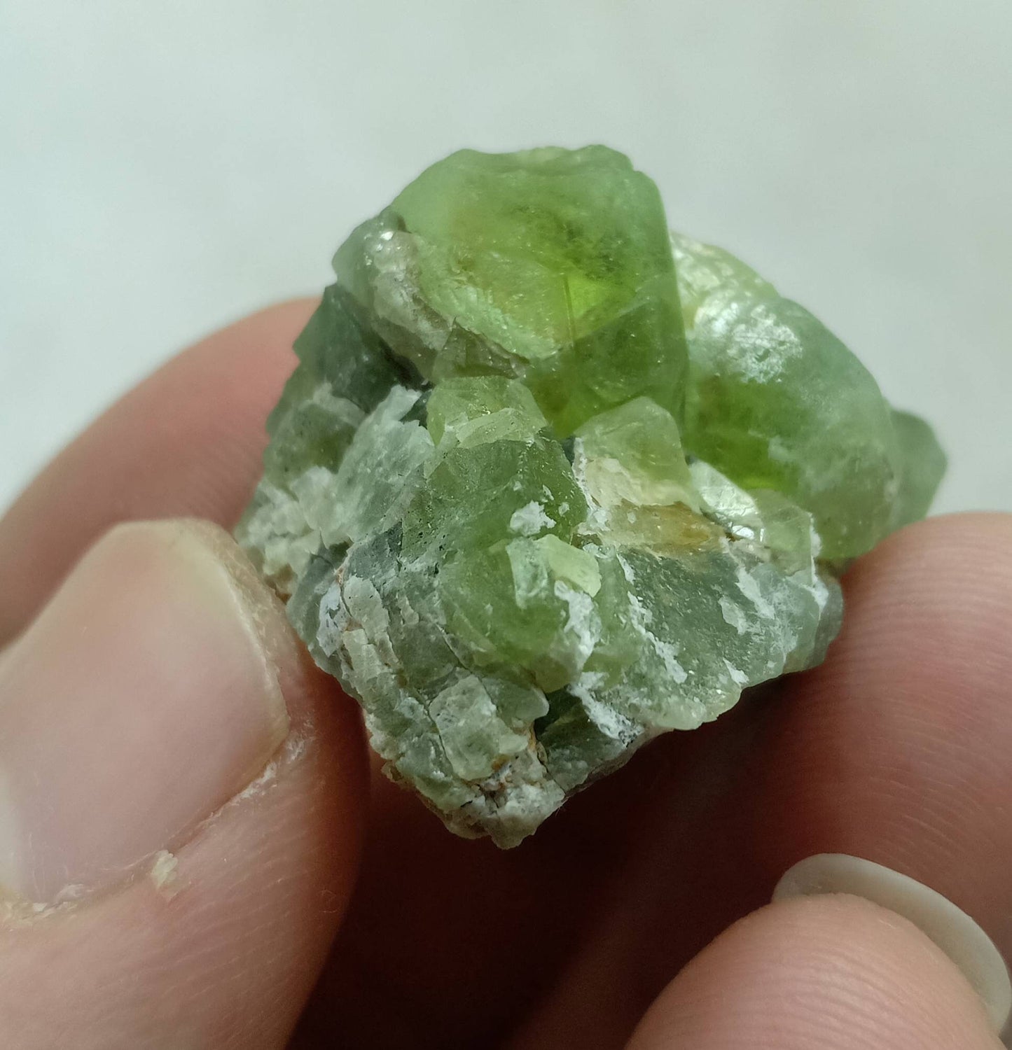 Peridot crystals specimen 21.5g