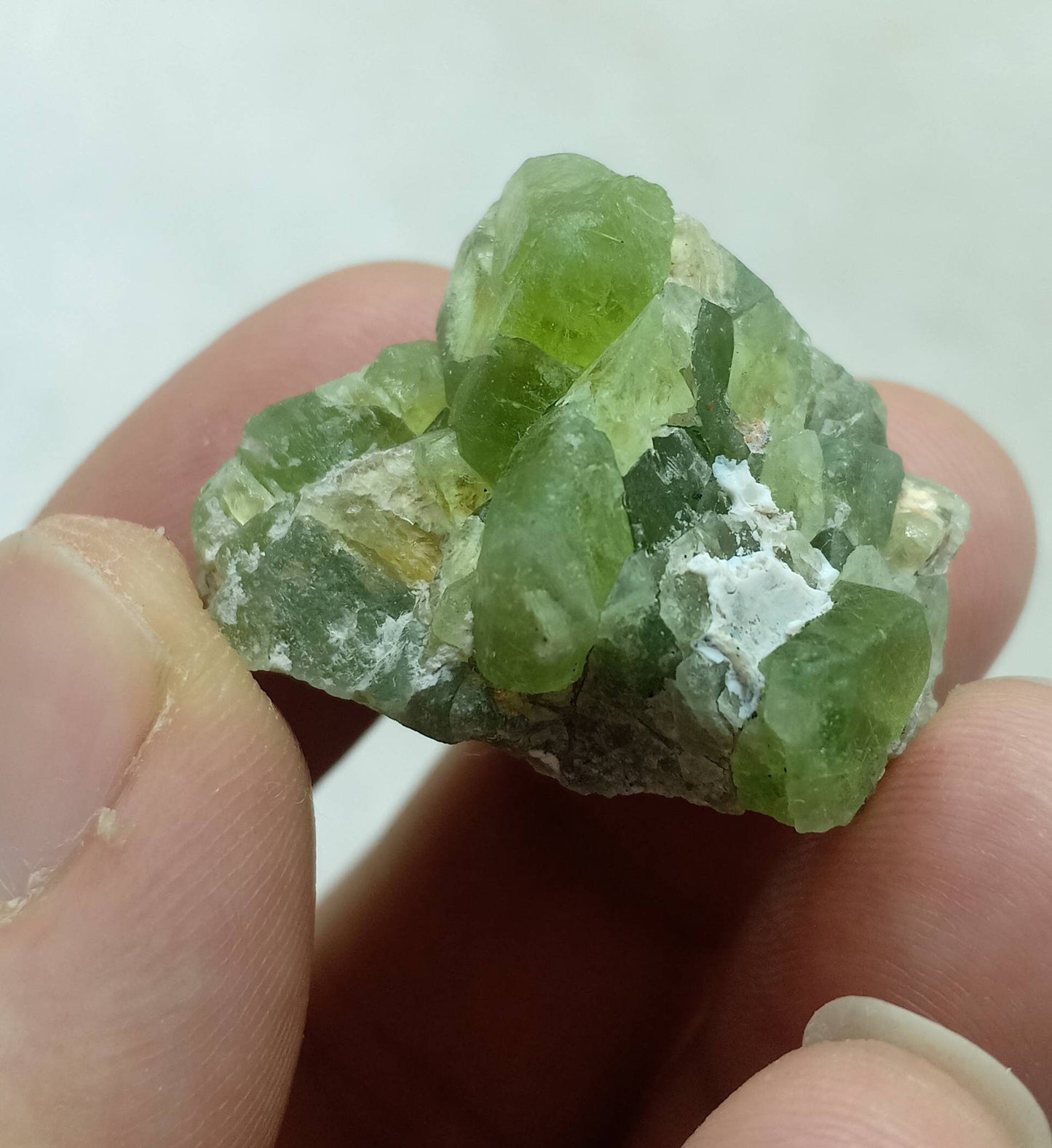 Peridot crystals specimen 21.5g