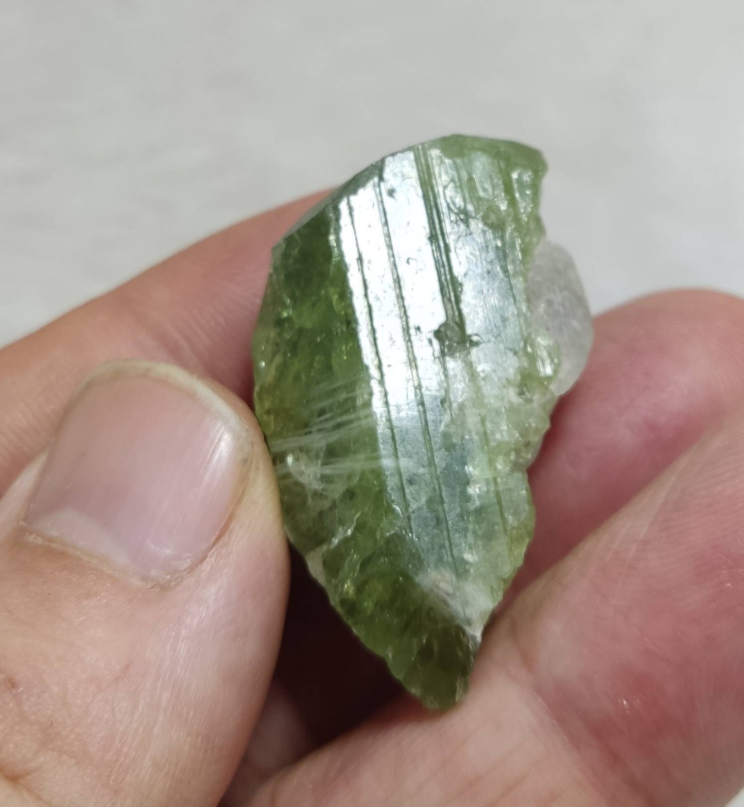 Diopside crystal with hackmanite 19 grams