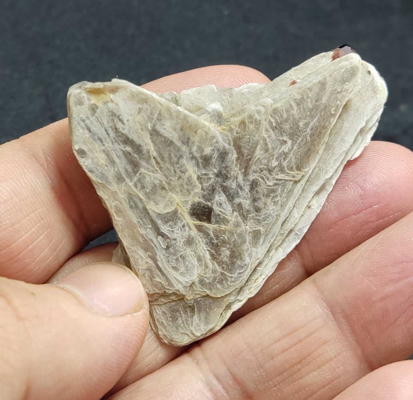 An amazing specimen of spessartine garnet embedded in muscovite 20.5g