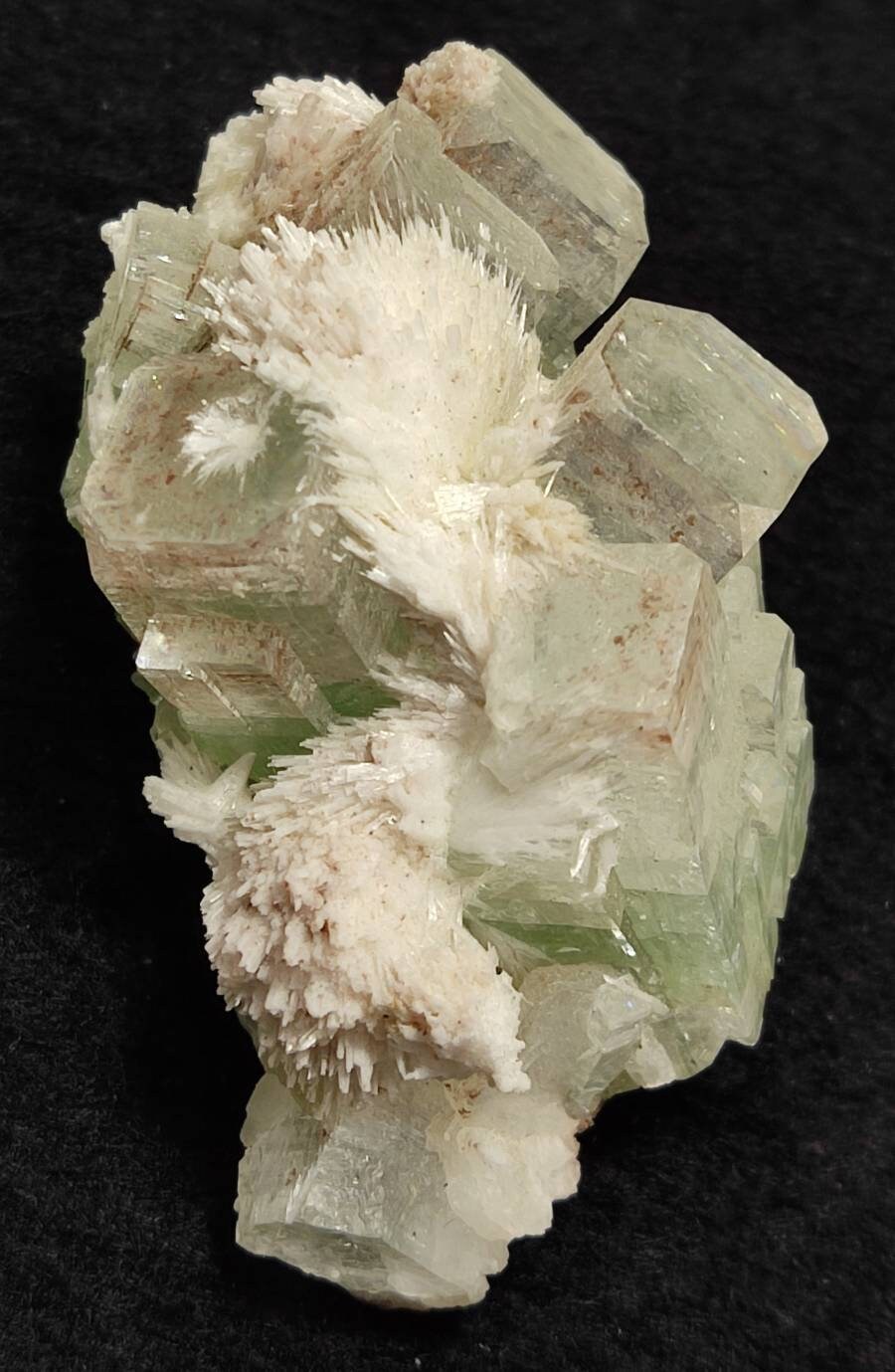 Apophyllite with associated scolecite 37 grams