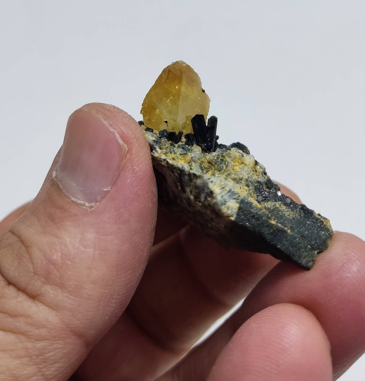 Titanite sphene with actinolite or aegirine on matrix 21g